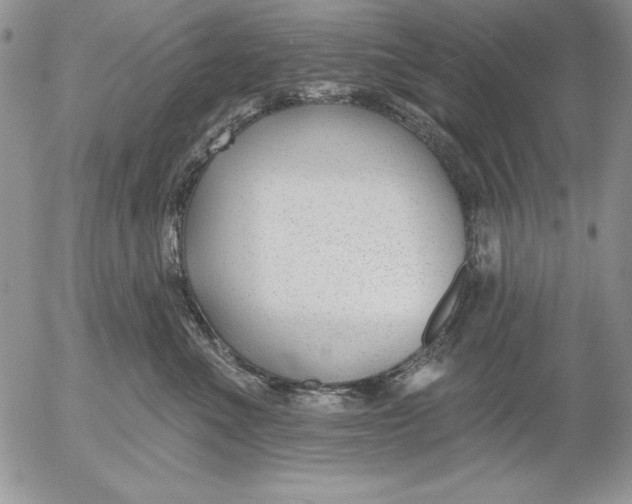 X0000053000523200507291645