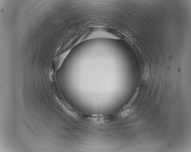 X0000053000524200507291645