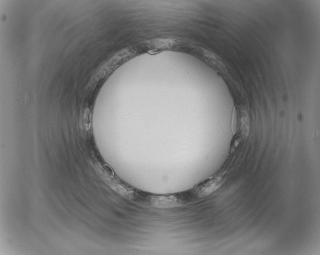 X0000053000525200507291645