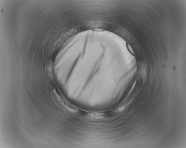 X0000053000526200507291645