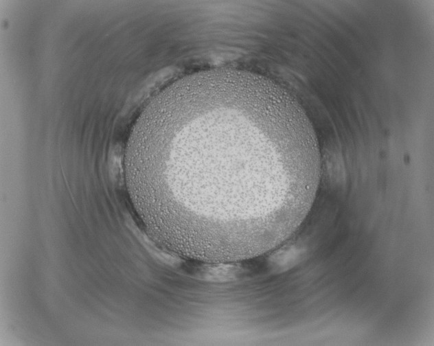 X0000053000527200507291645