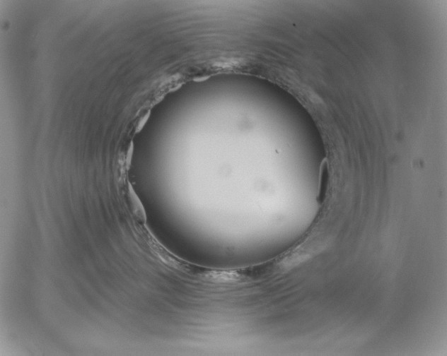 X0000053000528200507291645