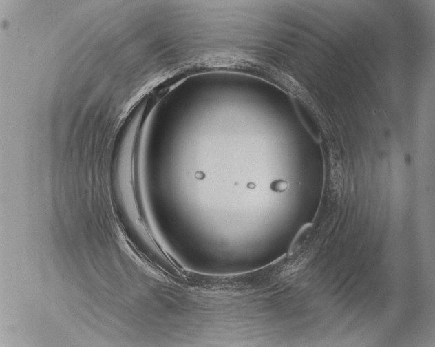 X0000053000530200507291645