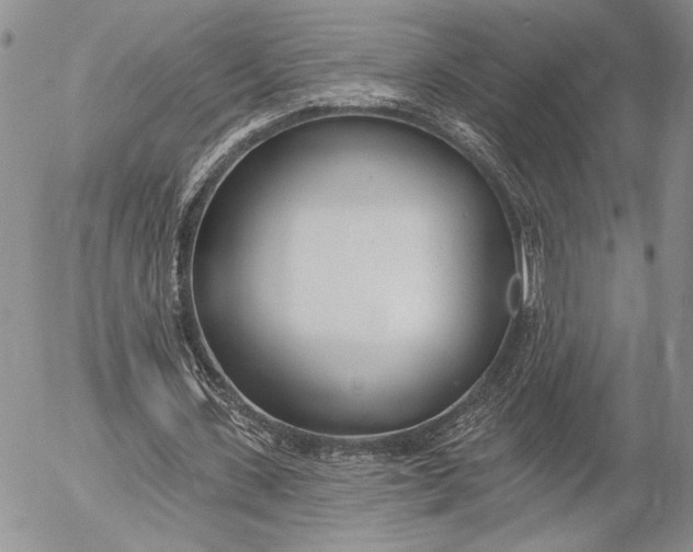 X0000053000531200507291645