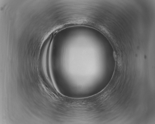 X0000053000532200507291645