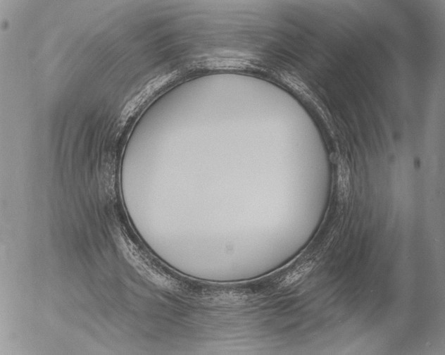 X0000053000533200507291645