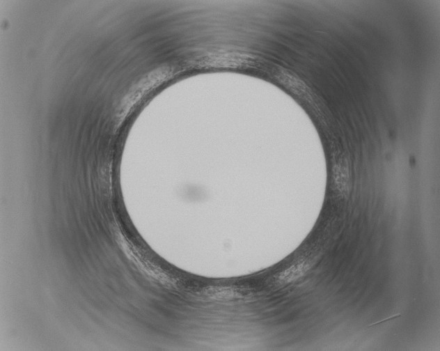 X0000053000534200507291645