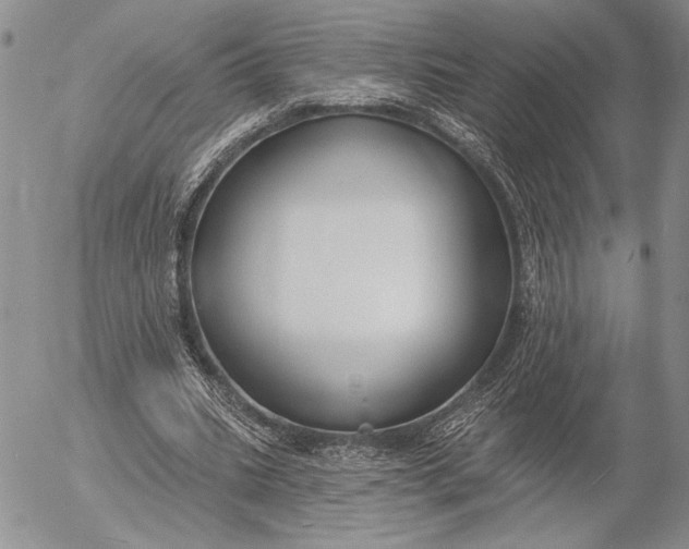 X0000053000535200507291645