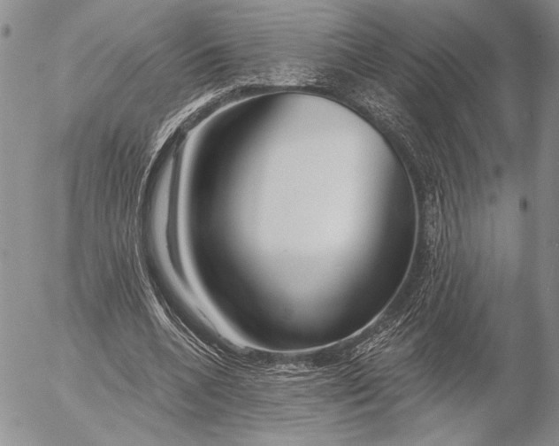 X0000053000536200507291645