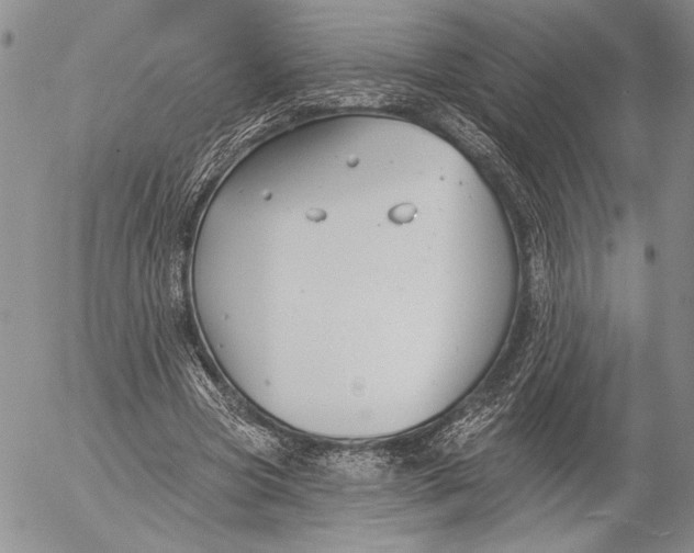 X0000053000537200507291645