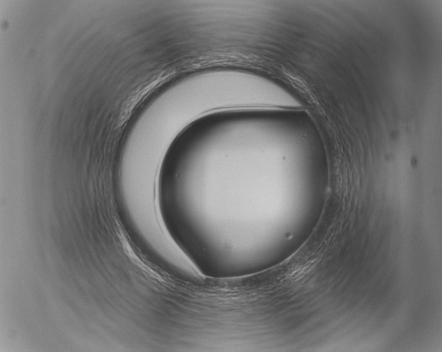 X0000053000538200507291645