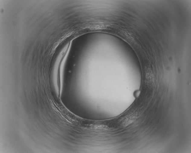 X0000053000539200507291645