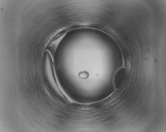 X0000053000540200507291645