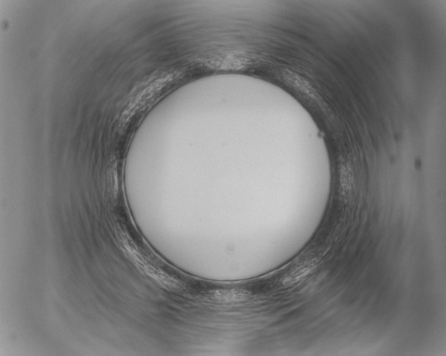 X0000053000541200507291645