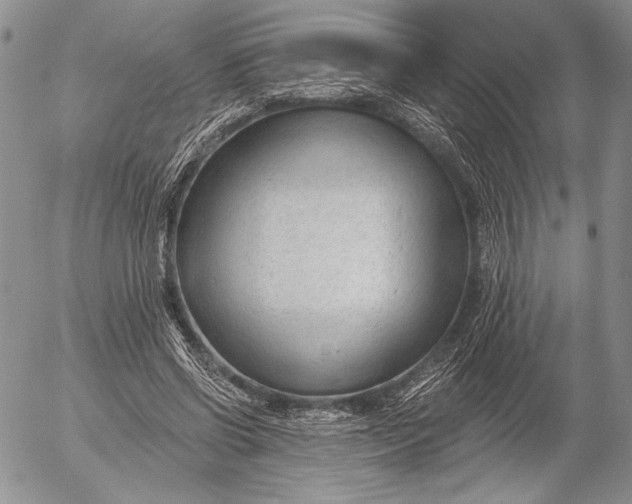 X0000053000542200507291645