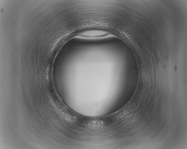 X0000053000543200507291645