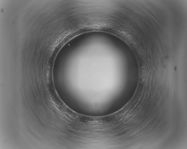 X0000053000544200507291645