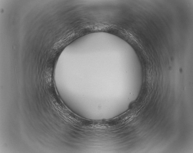 X0000053000545200507291645