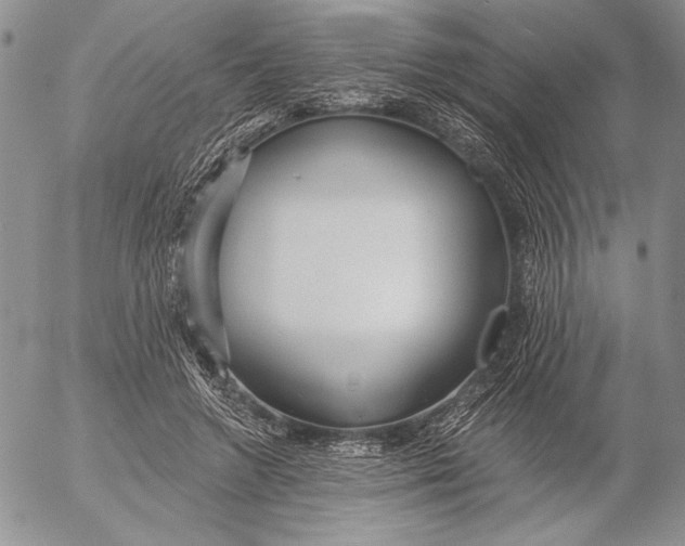 X0000053000546200507291645