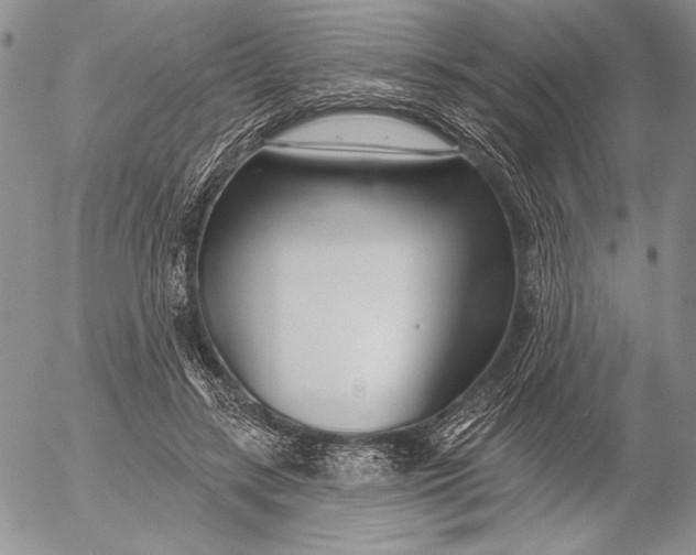 X0000053000547200507291645