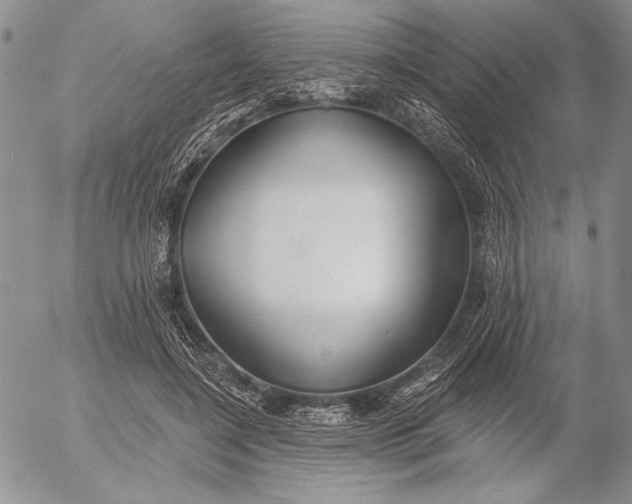 X0000053000548200507291645