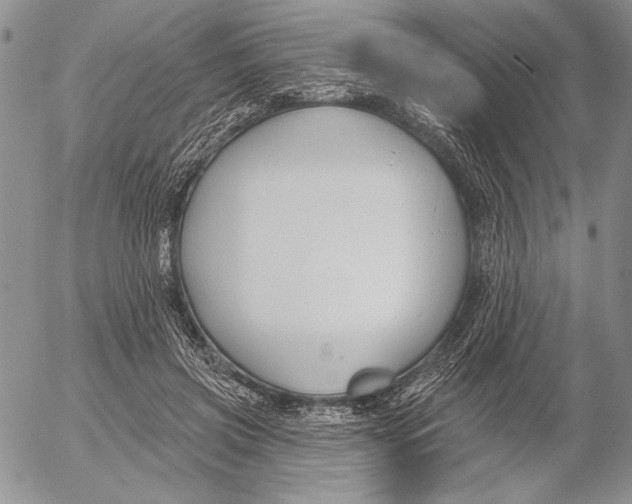 X0000053000549200507291645