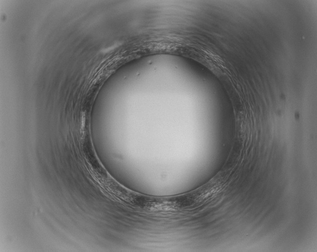 X0000053000550200507291645