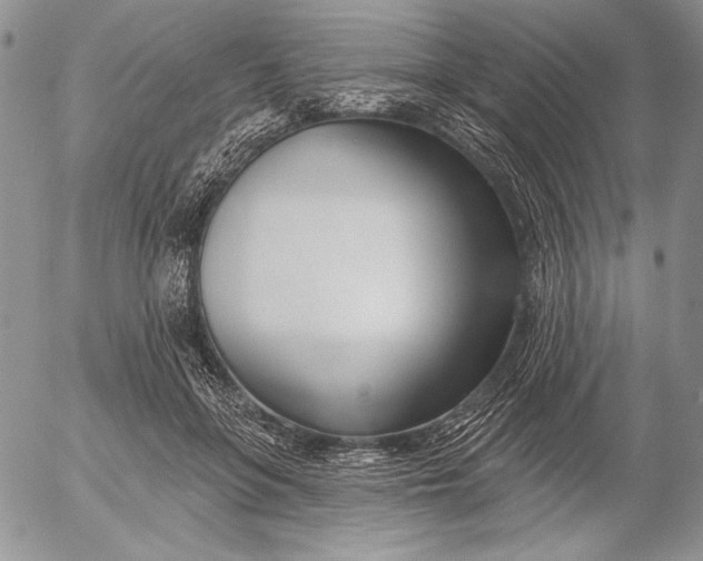 X0000053000551200507291645