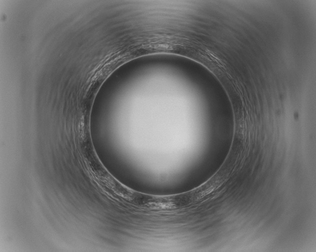 X0000053000552200507291645