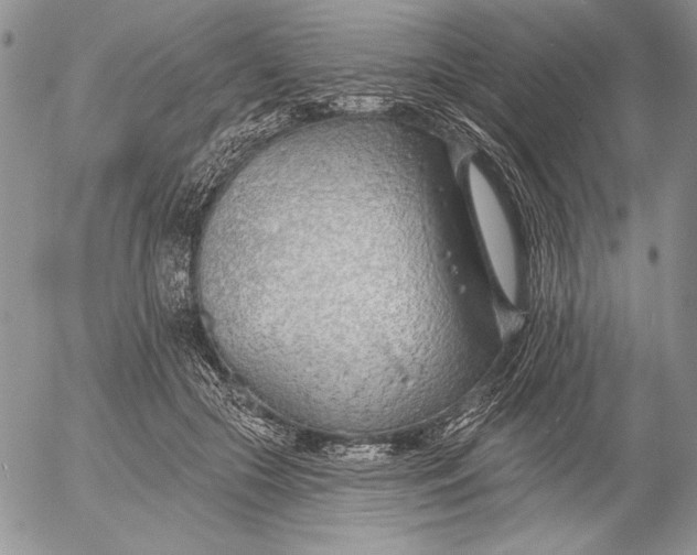 X0000053000553200507291645