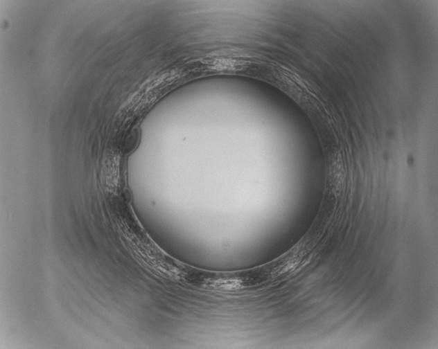 X0000053000554200507291645