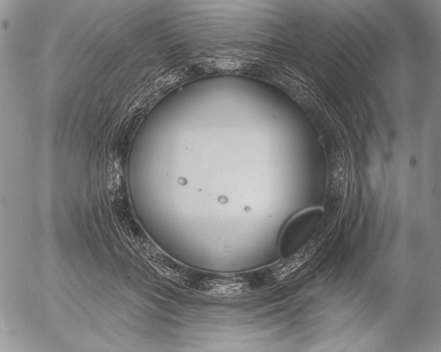 X0000053000555200507291645