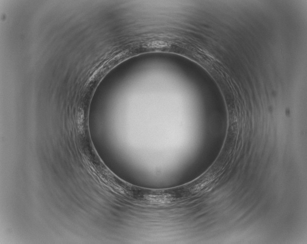 X0000053000556200507291645