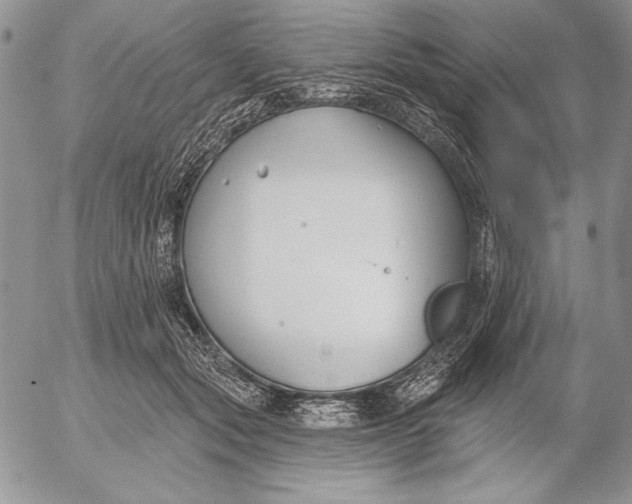 X0000053000557200507291645