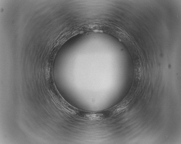 X0000053000558200507291645