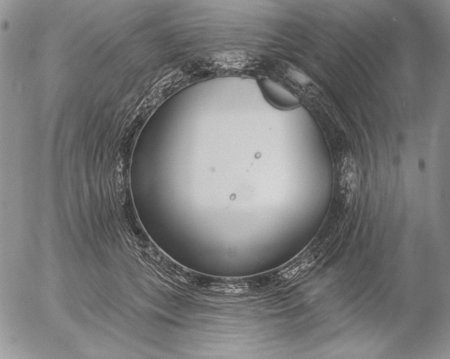 X0000053000559200507291645