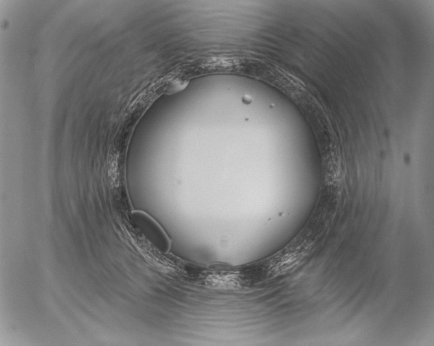 X0000053000560200507291645