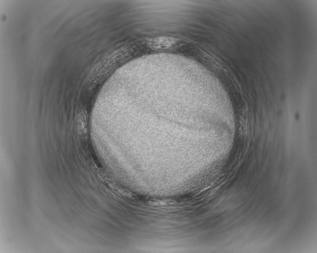 X0000053000561200507291645