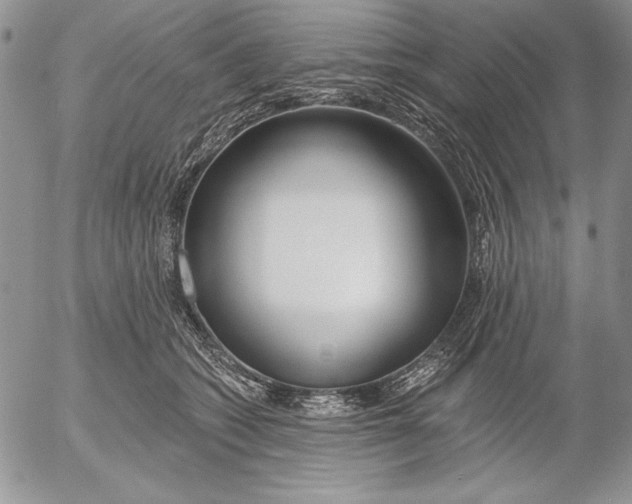 X0000053000562200507291645