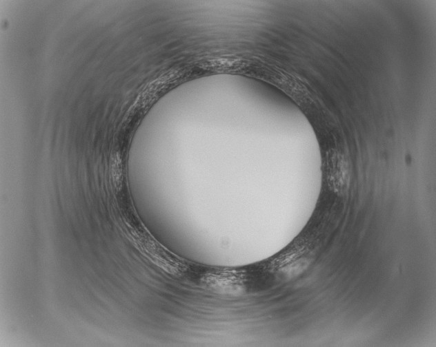 X0000053000563200507291645