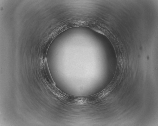 X0000053000564200507291645