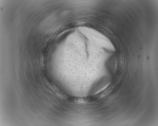 X0000053000565200507291645