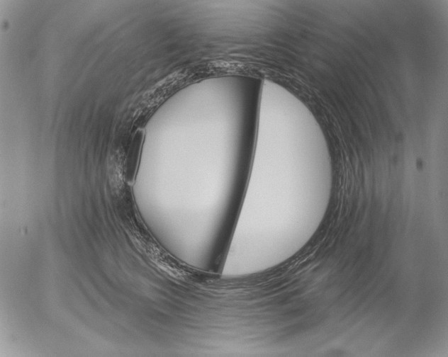 X0000053000566200507291645