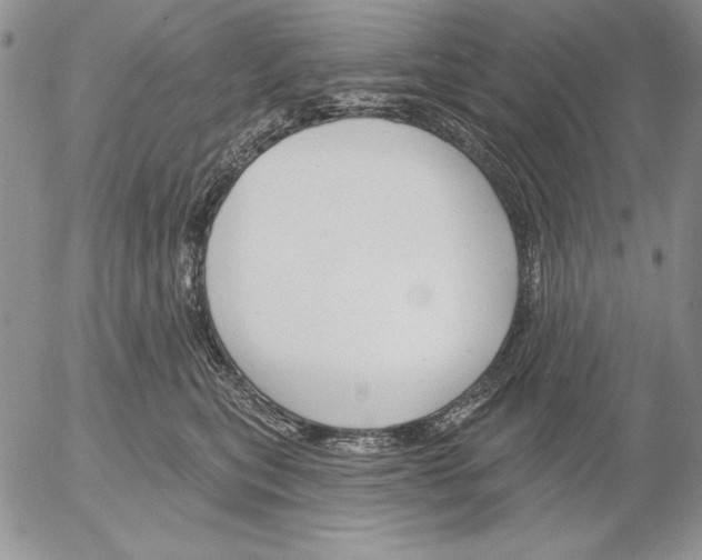 X0000053000567200507291645