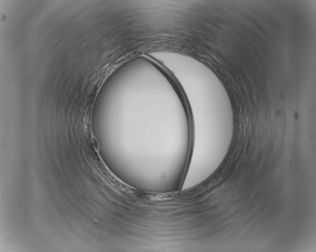 X0000053000568200507291645