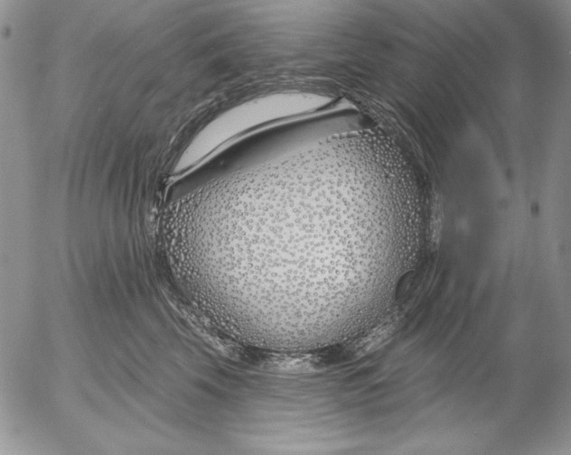 X0000053000569200507291645