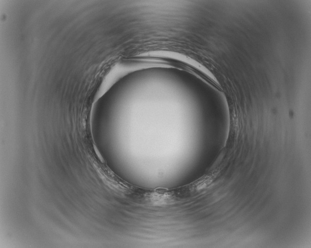 X0000053000570200507291645