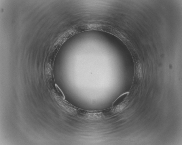 X0000053000571200507291645