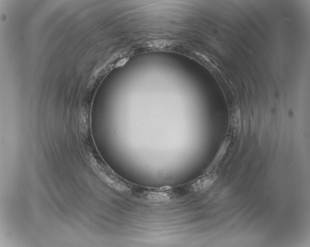 X0000053000572200507291645