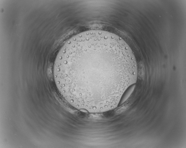 X0000053000573200507291645